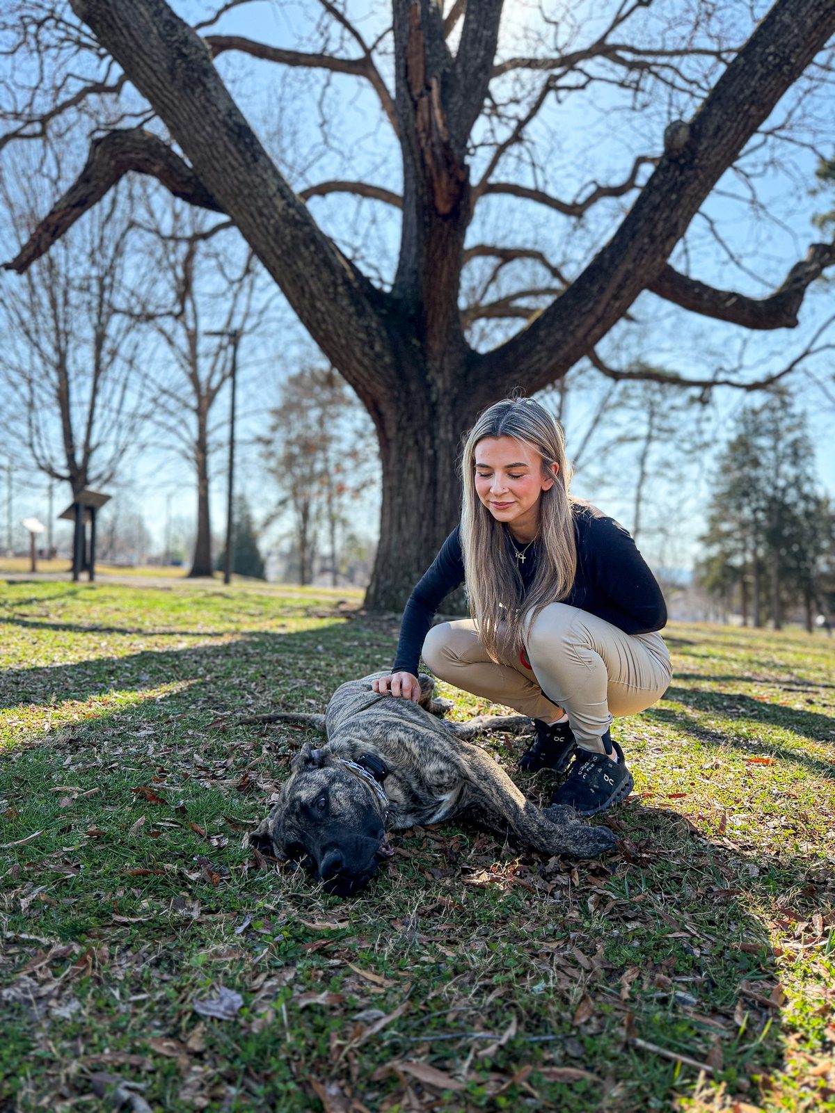A woman crouching in a park to pet a brindle dog resting in the shade of a large tree